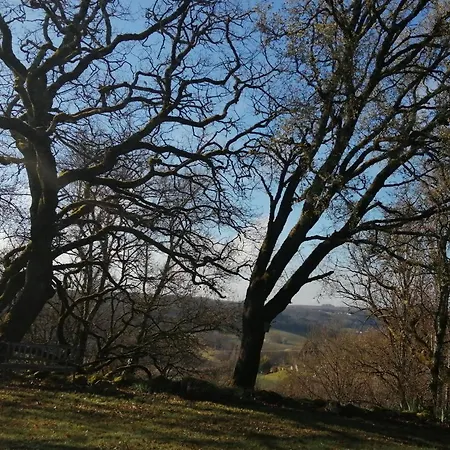 Le Pigonnier Ecogite Le Luquet Beauzeil 82150 Saint-Beauzeil